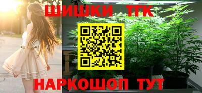 трава Сланцы