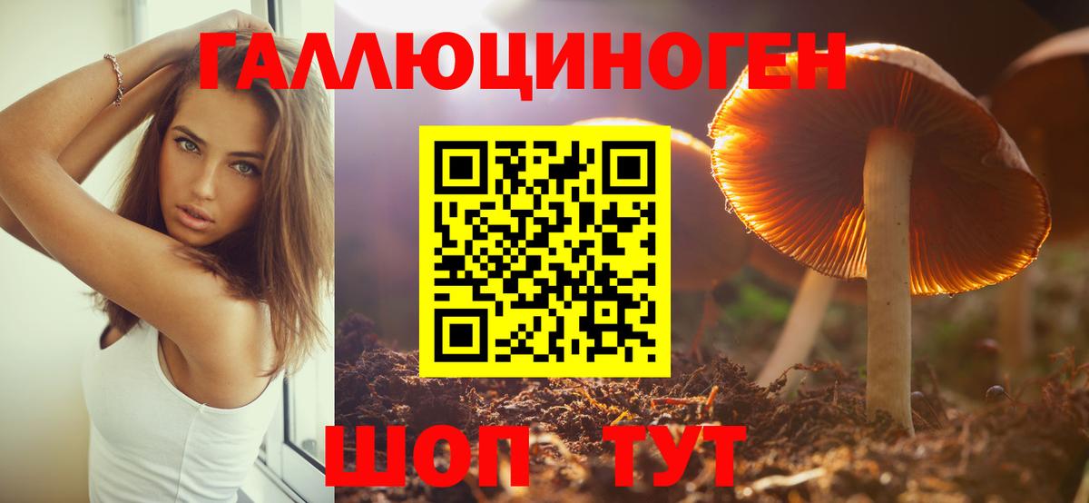 Псилоцибиновые грибы Psilocybe Нижний Новгород
